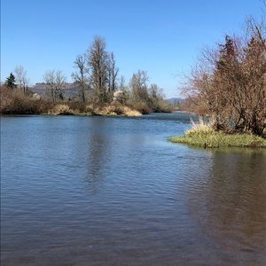 Meet your Posher, Michele